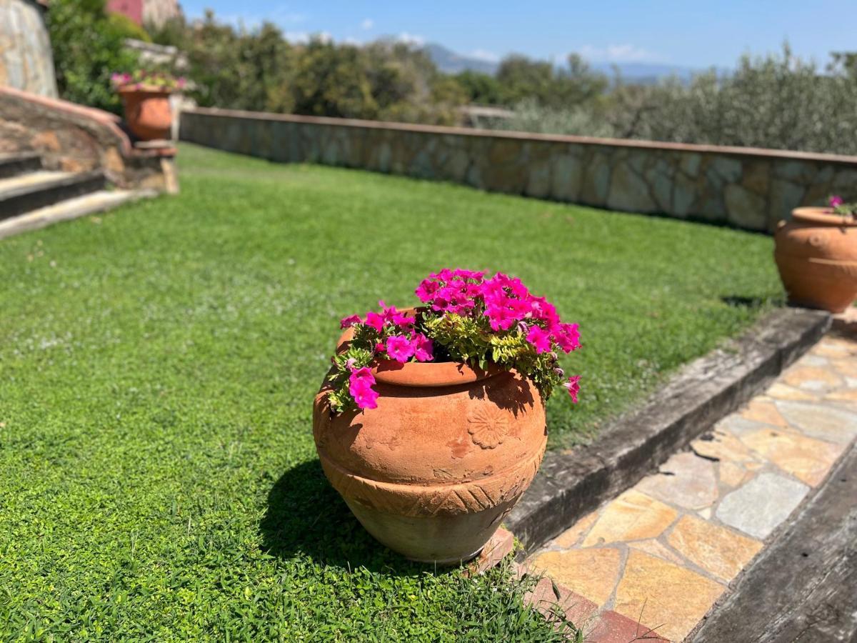 Masia Can Viver - Olive Oil Tourism B&B Бигес-и-Риельс Экстерьер фото