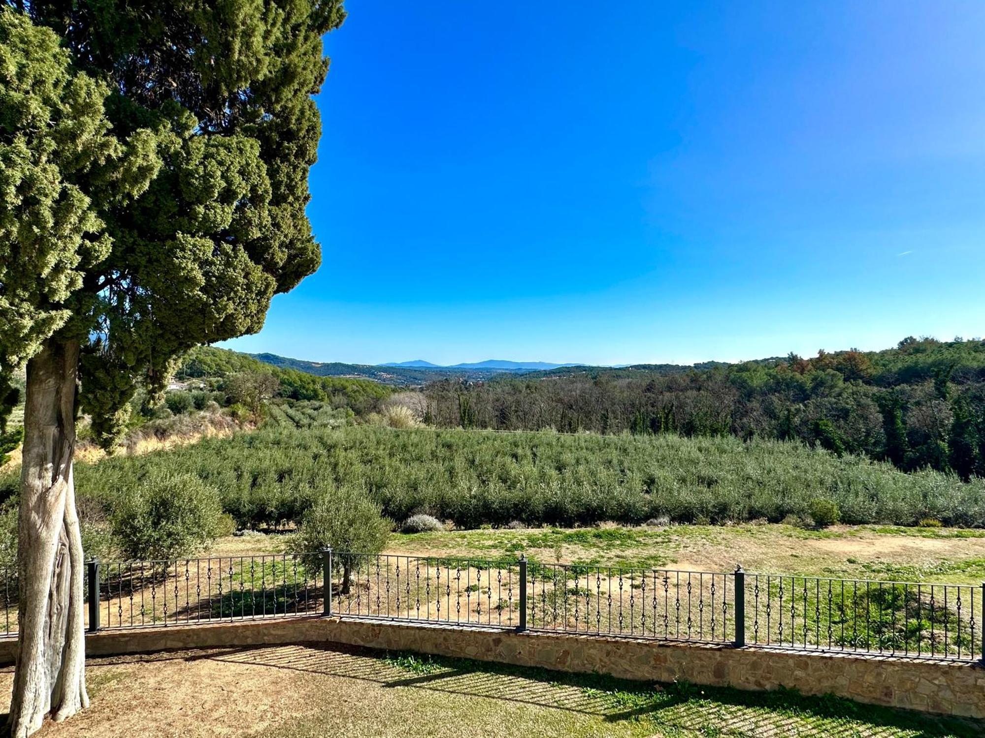 Masia Can Viver - Olive Oil Tourism B&B Бигес-и-Риельс Экстерьер фото