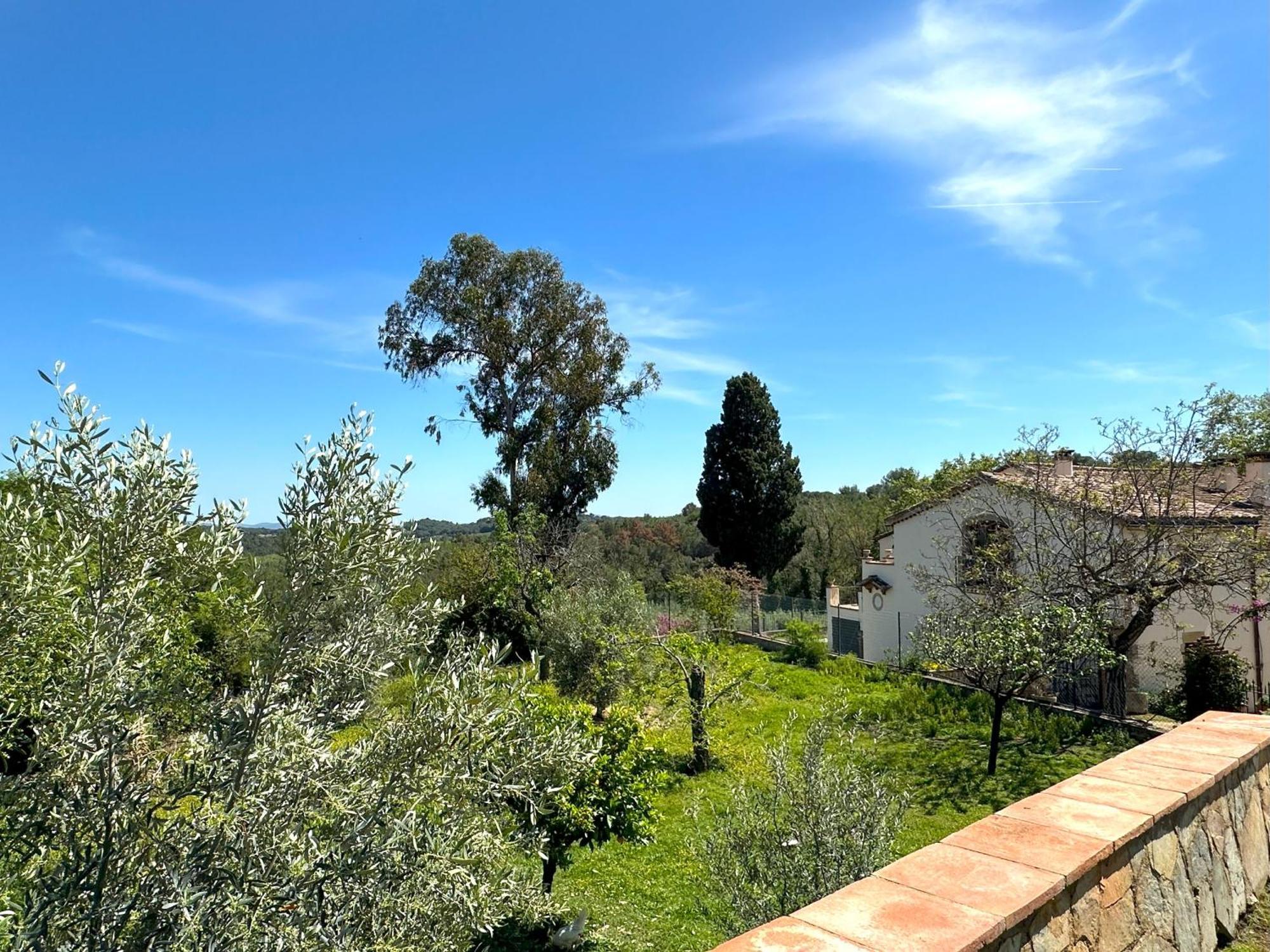Masia Can Viver - Olive Oil Tourism B&B Бигес-и-Риельс Экстерьер фото